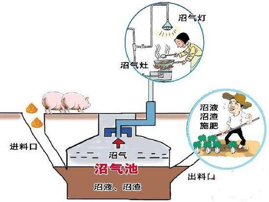 太陽能與沼氣技術(shù)利用專業(yè)