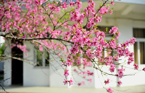 簡(jiǎn)陽市禾豐中學(xué)
