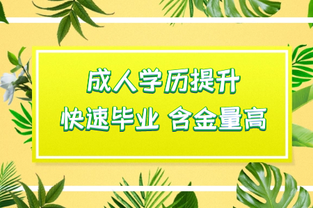 ?？粕ㄟ^統(tǒng)考專升本讀本科然后考研可行嗎