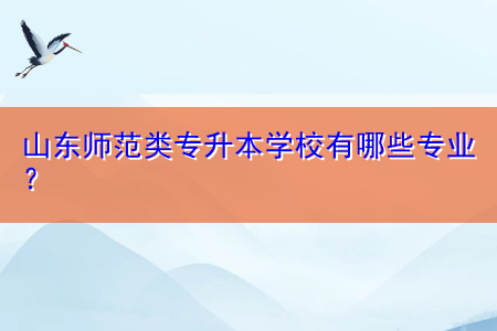 山東師范類專升本學(xué)校有哪些專業(yè)？