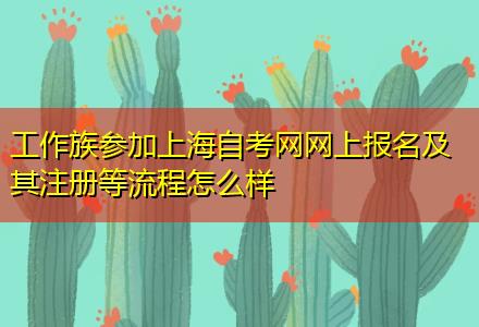 工作族參加上海自考網(wǎng)網(wǎng)上報(bào)名及其注冊等流程怎么樣