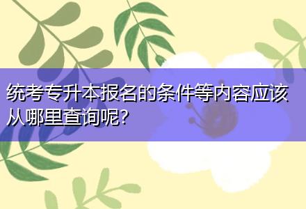 統(tǒng)考專升本報名的條件等內(nèi)容應(yīng)該從哪里查詢呢？