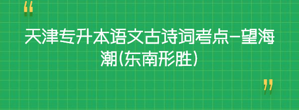 天津?qū)Ｉ菊Z(yǔ)文古詩(shī)詞考點(diǎn)-望海潮(東南形勝)