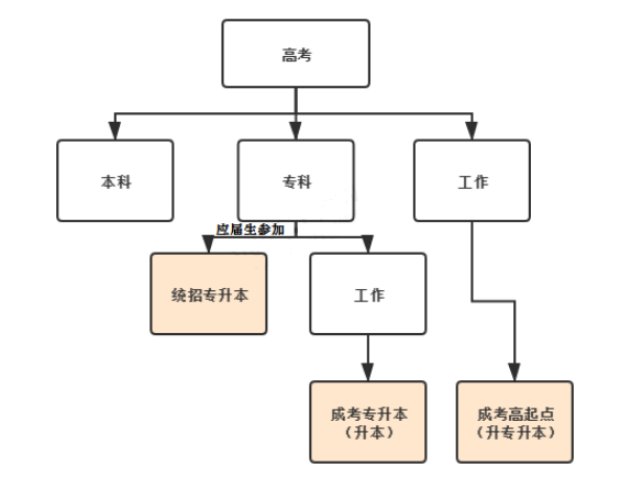 安徽成考,高考,統(tǒng)招專升本的區(qū)別