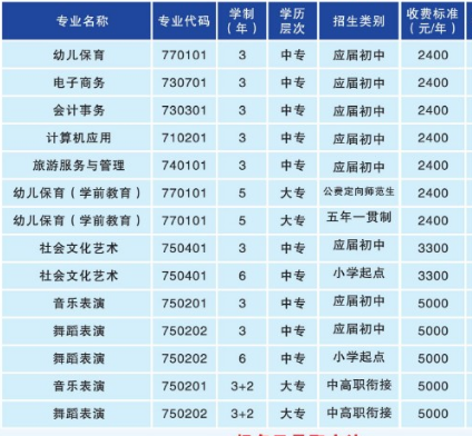 衡陽幼兒師范高等專科學校專業(yè)