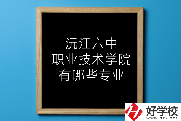 湖南沅江六中職業(yè)技術(shù)學(xué)院有哪些專業(yè)？