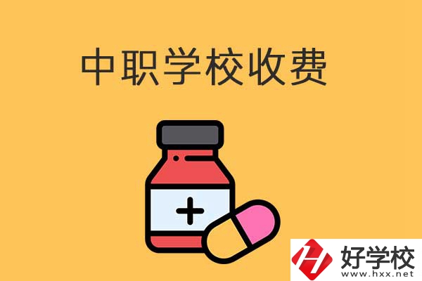 衡陽的中職學校怎么收費的？費用貴不貴？