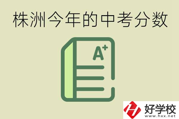 株洲今年中考多少分能上高中？沒(méi)考上有什么選擇？