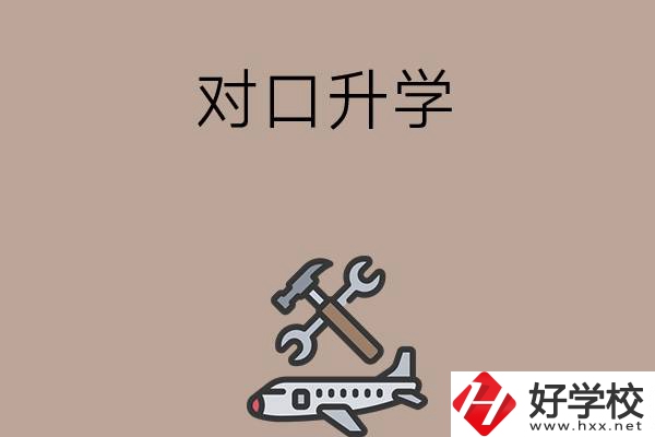 職高學(xué)生參加湖南省對口升學(xué)，有什么本科可以報考？