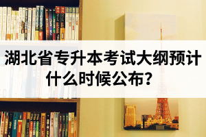 湖北省專升本考試大綱預(yù)計(jì)什么時(shí)候公布？現(xiàn)階段怎么備考比較好？