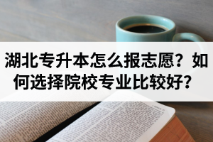 湖北省專升本怎么報(bào)志愿？如何選擇填報(bào)院校專業(yè)比較好？