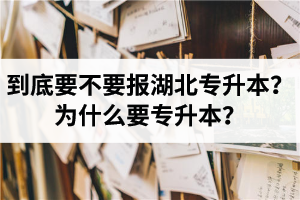 到底要不要報湖北專升本？為什么要專升本？