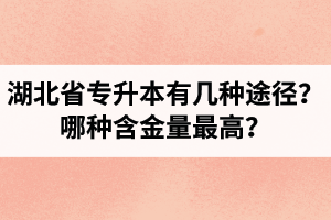 湖北省專升本有幾種途徑？哪種含金量最高？