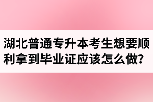 湖北普通專升本考生想要順利拿到畢業(yè)證應該怎么做？