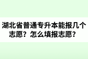 湖北省普通專升本能報(bào)幾個(gè)志愿？怎么填報(bào)志愿？