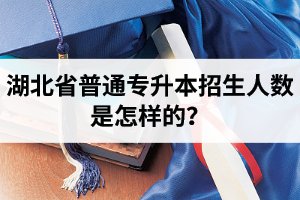 湖北省普通專升本招生人數(shù)是怎樣的？