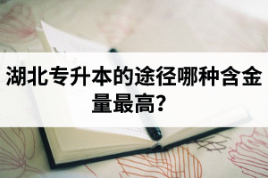 湖北普通專升本英譯漢段落翻譯分析應該怎么做？