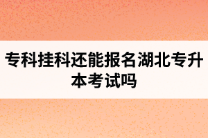 ?？茠炜七€能報(bào)名湖北專升本考試嗎？在哪里能獲取最新的專升本資訊？