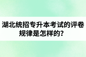 湖北統(tǒng)招專升本考試的評(píng)卷規(guī)律是怎樣的？怎么避免丟失細(xì)節(jié)分？