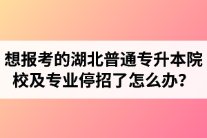 想報考的湖北普通專升本院校及專業(yè)停招了怎么辦？