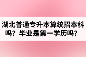 湖北普通專升本算統(tǒng)招本科嗎？專升本學(xué)歷是第一學(xué)歷嗎？