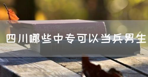 四川哪些中?？梢援敱猩?圖1)