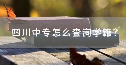 四川中專怎么查詢學(xué)籍？(圖1)