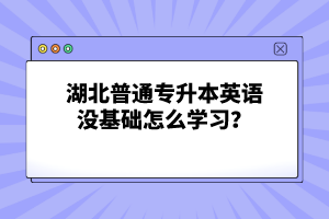 湖北普通專升本英語沒基礎(chǔ)怎么學習？