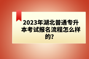 2023年湖北普通專升本考試報名流程怎么樣的？