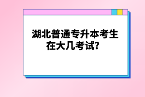 湖北普通專升本考生在大幾考試？