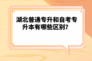 湖北普通專升和自考專升本有哪些區(qū)別？