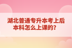 湖北普通專升本考上后本科怎么上課的？