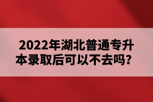 2022年湖北普通專升本錄取后可以不去嗎？