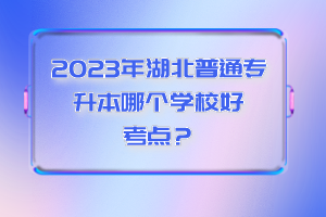 2023年湖北普通專升本哪個學校好考點？