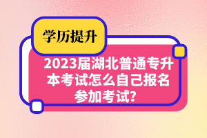 2023屆湖北普通專升本考試怎么自己報名參加考試？