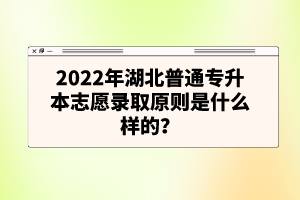 2022年湖北普通專升本志愿錄取原則是什么樣的？