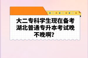 大二?？茖W(xué)生現(xiàn)在備考湖北普通專升本考試晚不晚啊？