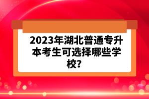 2023年湖北普通專(zhuān)升本考生可選擇哪些學(xué)校？