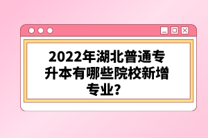 2022年湖北普通專升本有哪些院校新增專業(yè)？