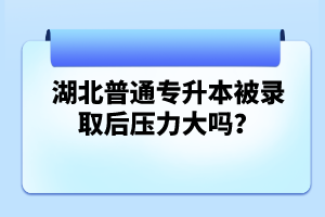 湖北普通專升本被錄取后壓力大嗎？