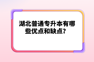 湖北普通專(zhuān)升本有哪些優(yōu)點(diǎn)和缺點(diǎn)？