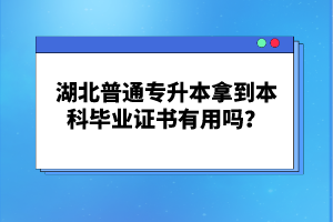 湖北普通專(zhuān)升本拿到本科畢業(yè)證書(shū)有用嗎？