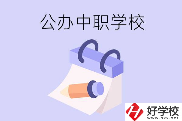 湖南公辦中職學(xué)校有哪些辦學(xué)規(guī)模比較大的？