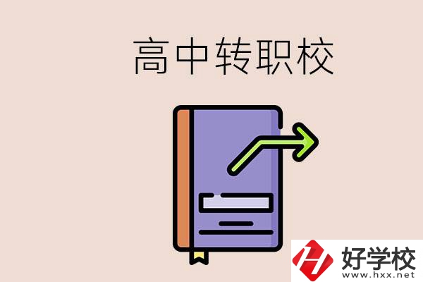 有在讀高中不想讀轉(zhuǎn)職校的例子嗎？能轉(zhuǎn)到湖南職校嗎？