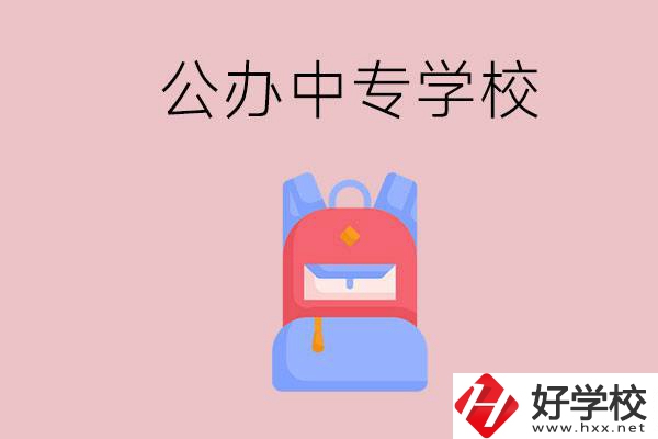 婁底有什么公辦中專學校？教學怎么樣？