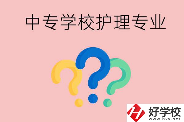 湖南的公辦中專學(xué)校哪些可以學(xué)護(hù)理專業(yè)？