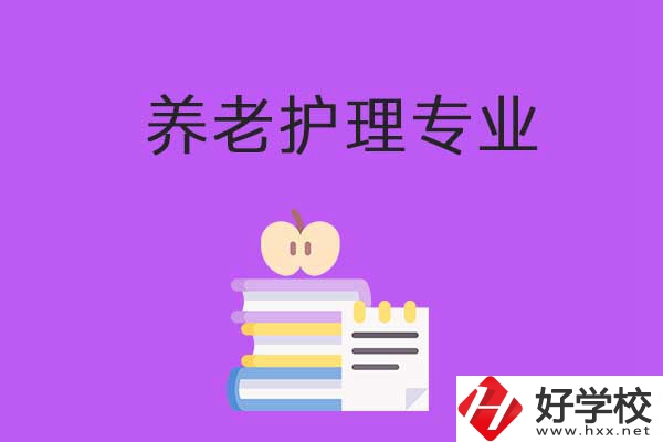 湘西有哪些職?？梢詫W習養(yǎng)老護理專業(yè)？