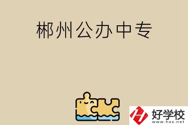 郴州公辦中專有哪些開設(shè)了電子商務(wù)專業(yè)？