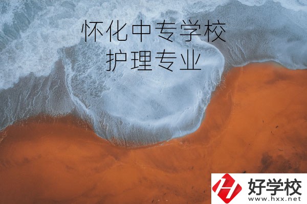 懷化有學護理專業(yè)的中專學校嗎？