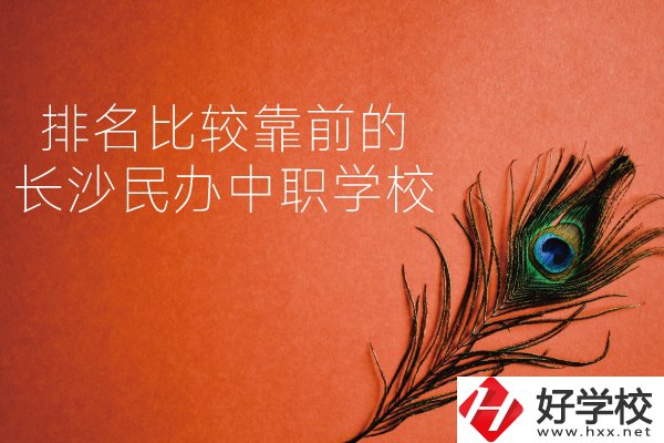 長(zhǎng)沙哪些民辦中職學(xué)校排名比較靠前？